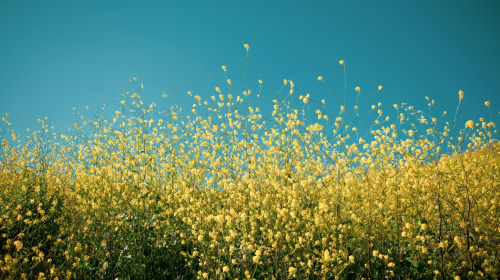 Starte mit reiner Motivation, dann gebe einfach dein Bestes