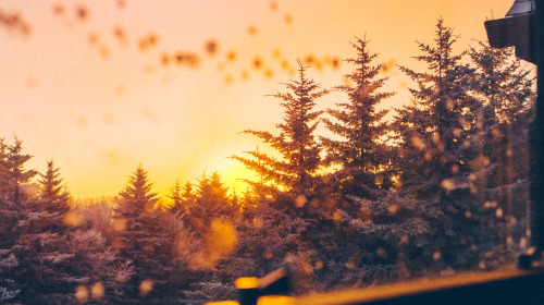 Heimkommen – zu uns selbst