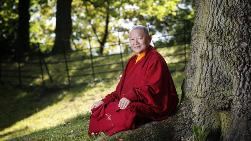 BUDDHISMUS ENTDECKEN – Die Vier Edlen Wahrheiten, Teil 1-3