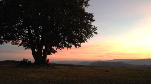 Ein Wintertag in Lerab Ling