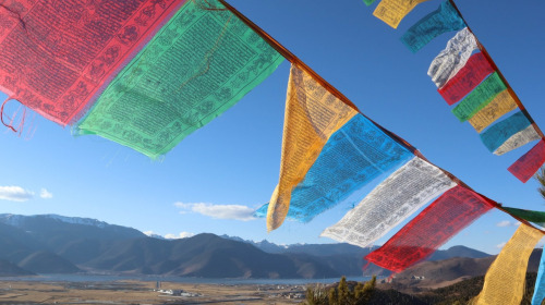 Ein kurzer Überblick über die buddhistischen Lehren und einige Ratschläge