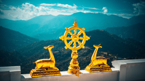 Sei nicht geduldig mit Samsara