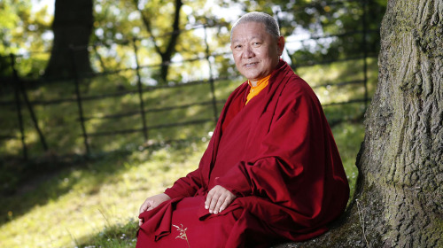 Buddha's Erleuchtung