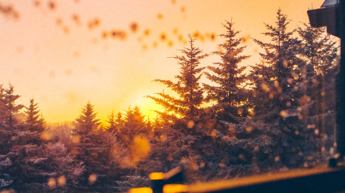 Ein besserer Mensch werden, für dich und die Welt