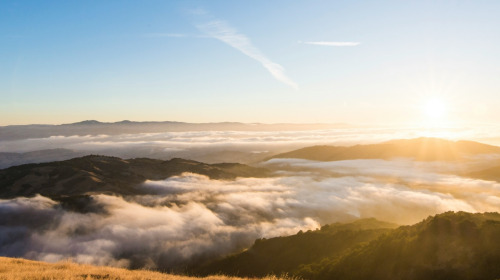 Den Geist verstehen, um uns selbst zu verstehen